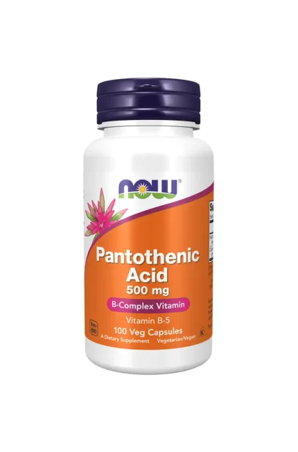 Pantothenic Acid 500mg Now