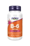 Vitamin B-6 Now Vitamin B-6 Now
