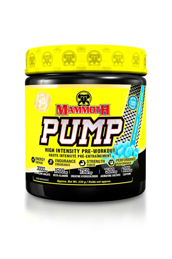 Mammoth Pump