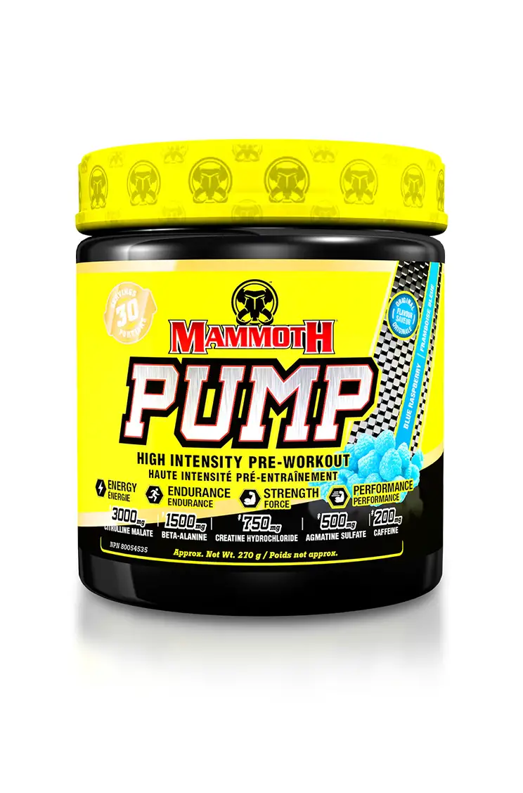 Mammoth Pump