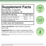 Liposomal Glutathione Double Wood