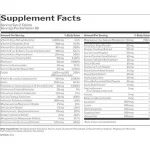 Women's Multi Rule1 Women's Multi Rule1