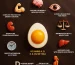 The All-in-One Powerhouse: Why the Egg is the Ultimate Superfood