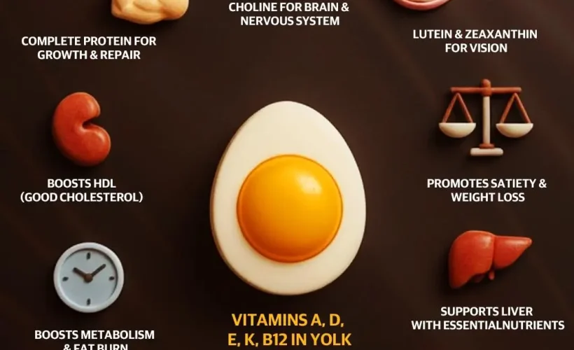 The All-in-One Powerhouse: Why the Egg is the Ultimate Superfood